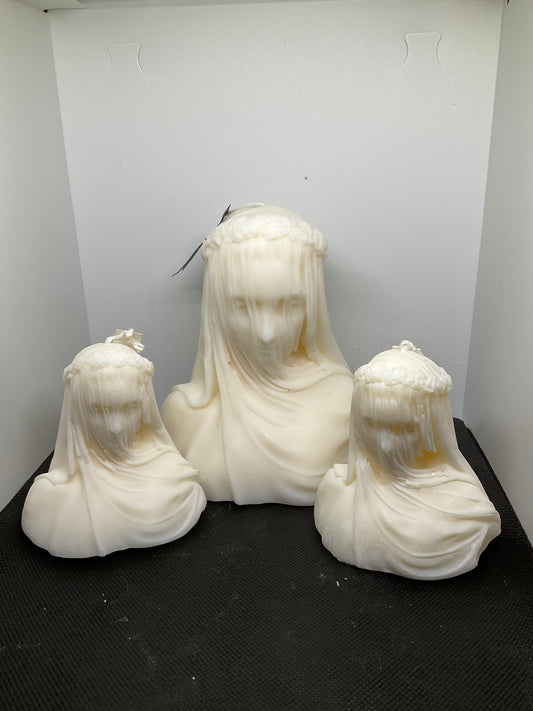 The Veiled Requiem