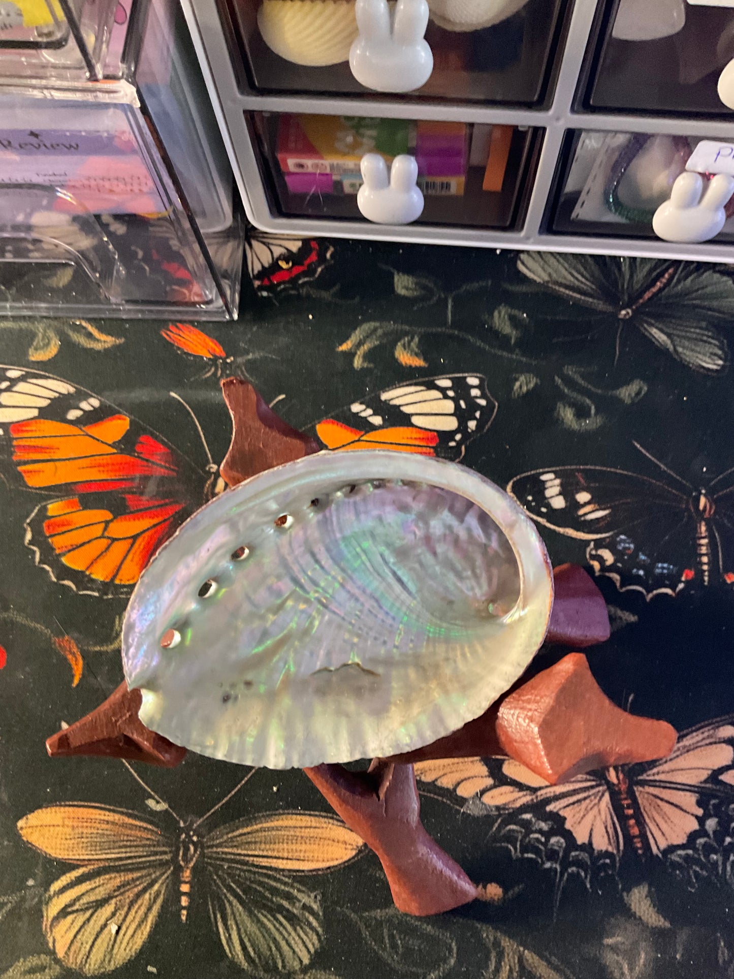 Abolone Shell & Stand