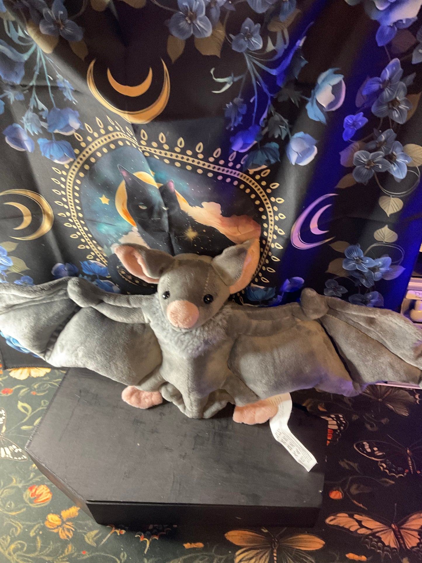 Witchy Familiar Companion