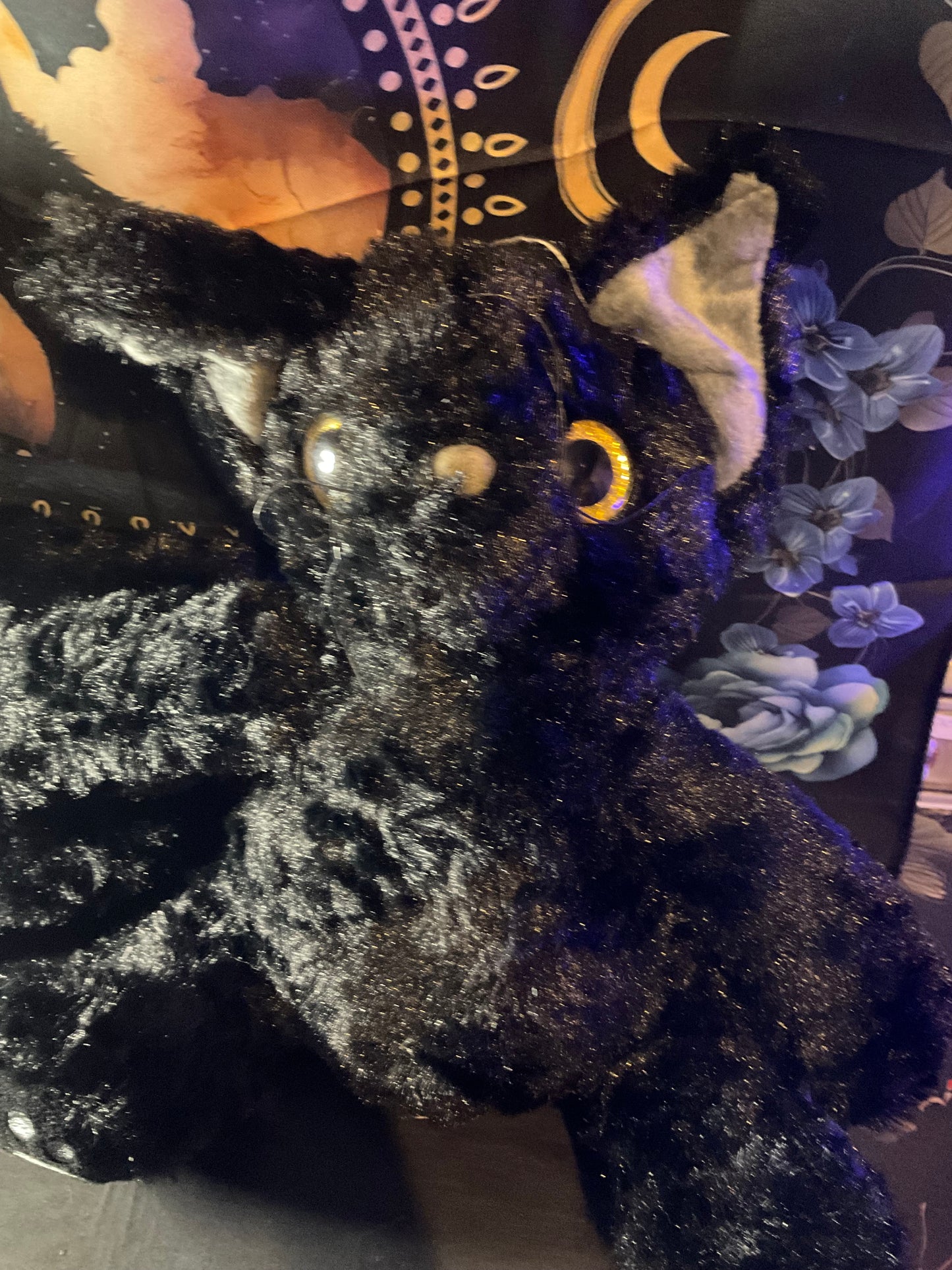Witchy Familiar Companion
