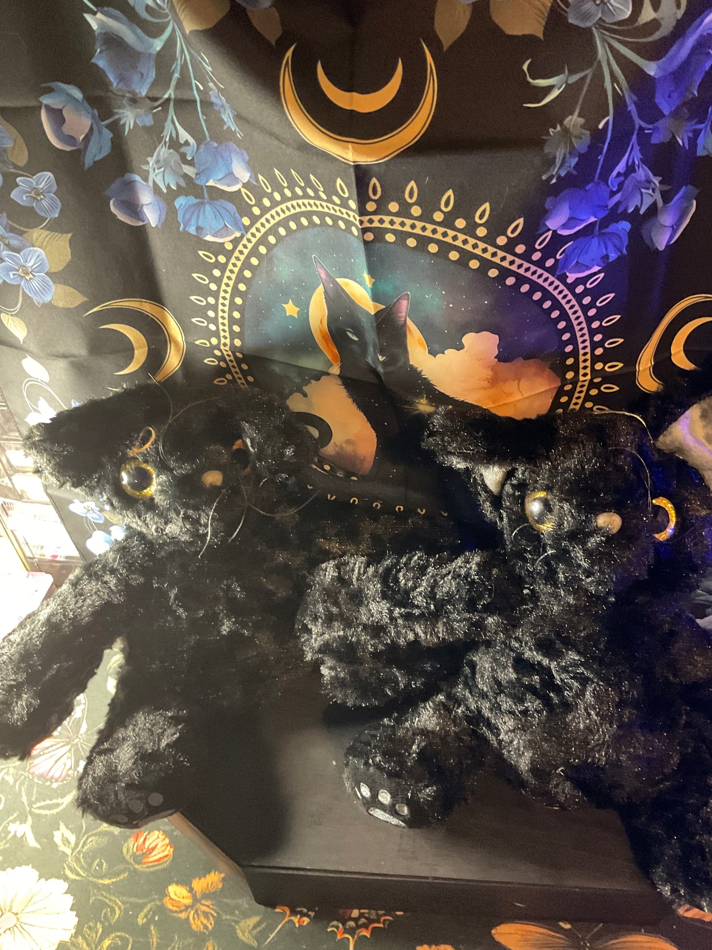 Witchy Familiar Companion