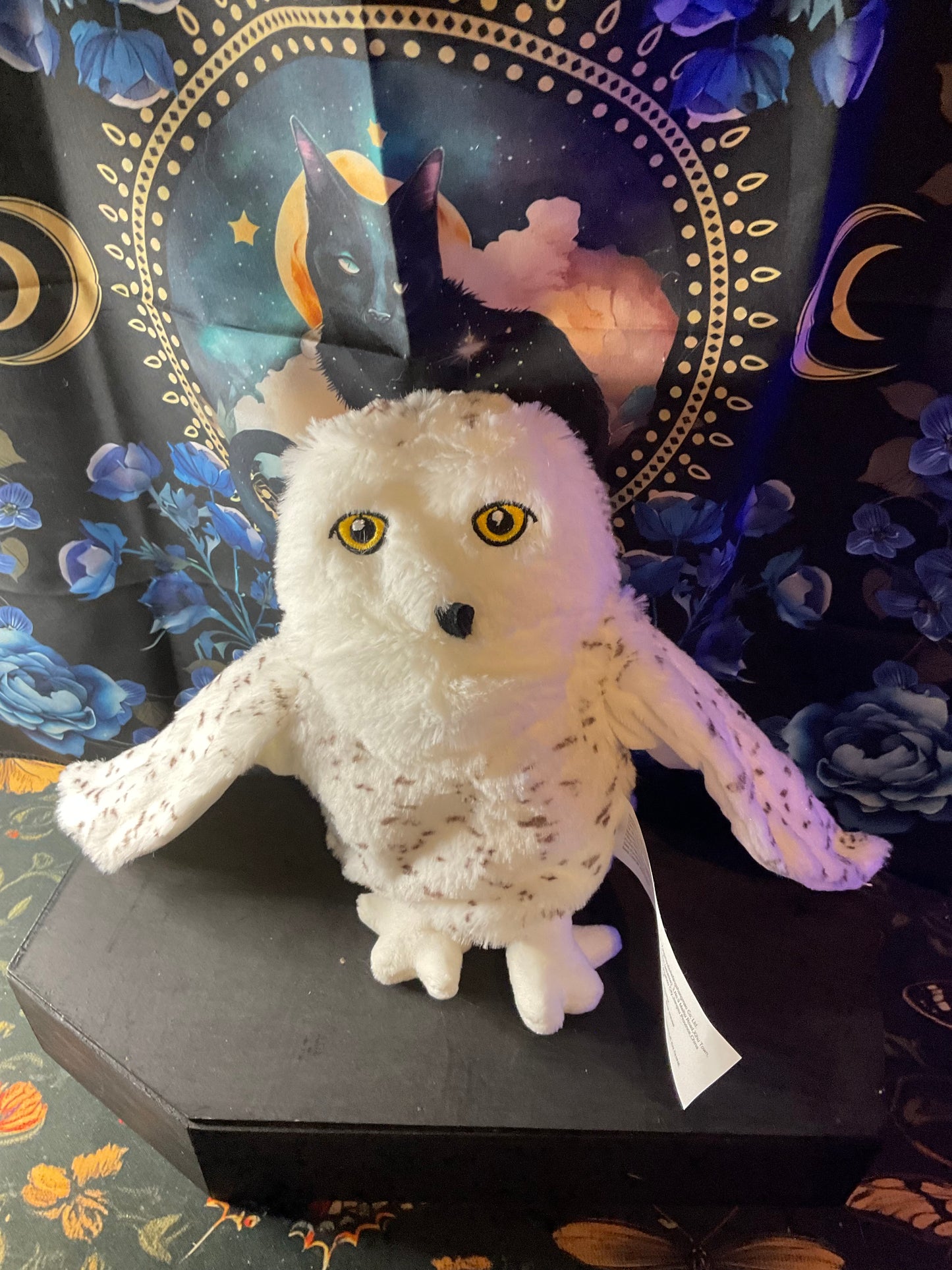 Witchy Familiar Companion