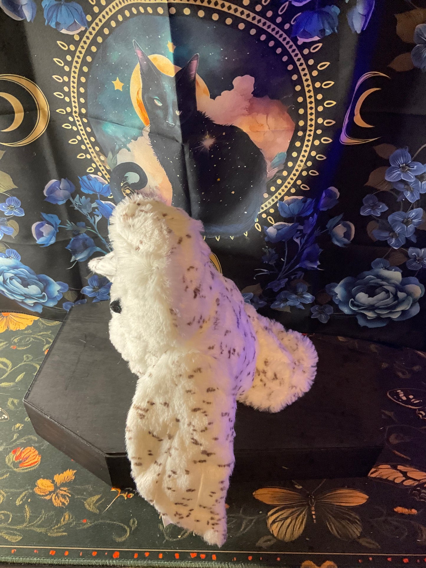Witchy Familiar Companion