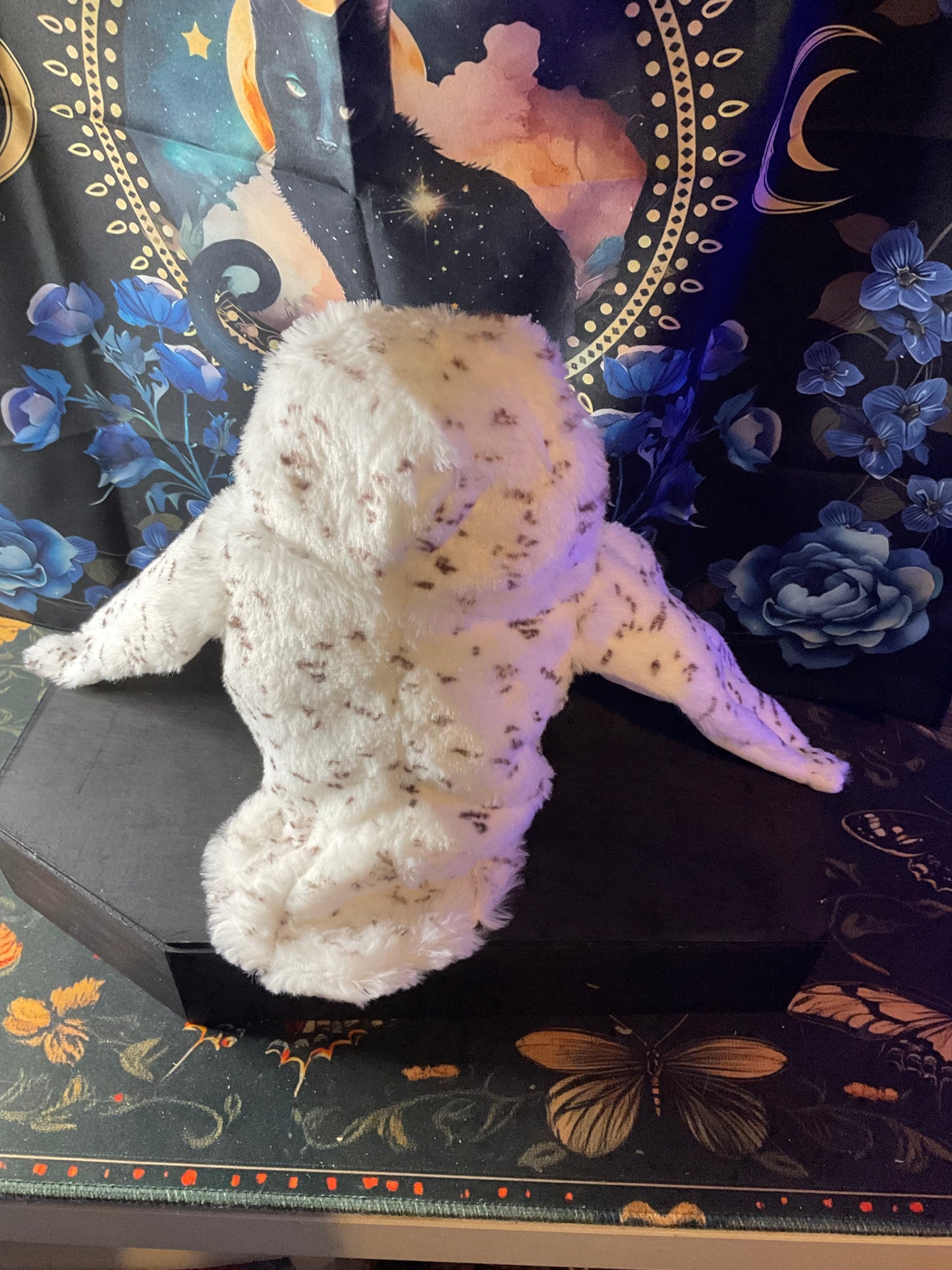 Witchy Familiar Companion