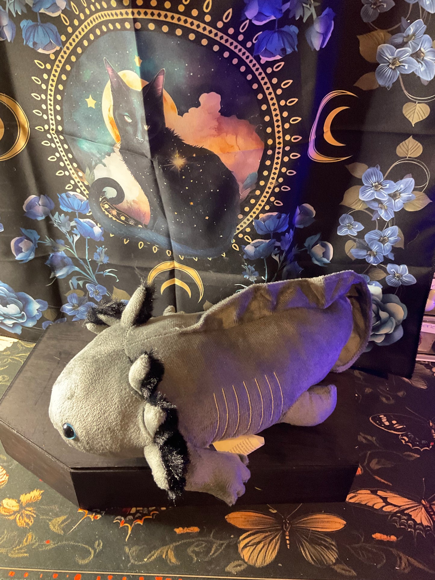 Witchy Familiar Companion