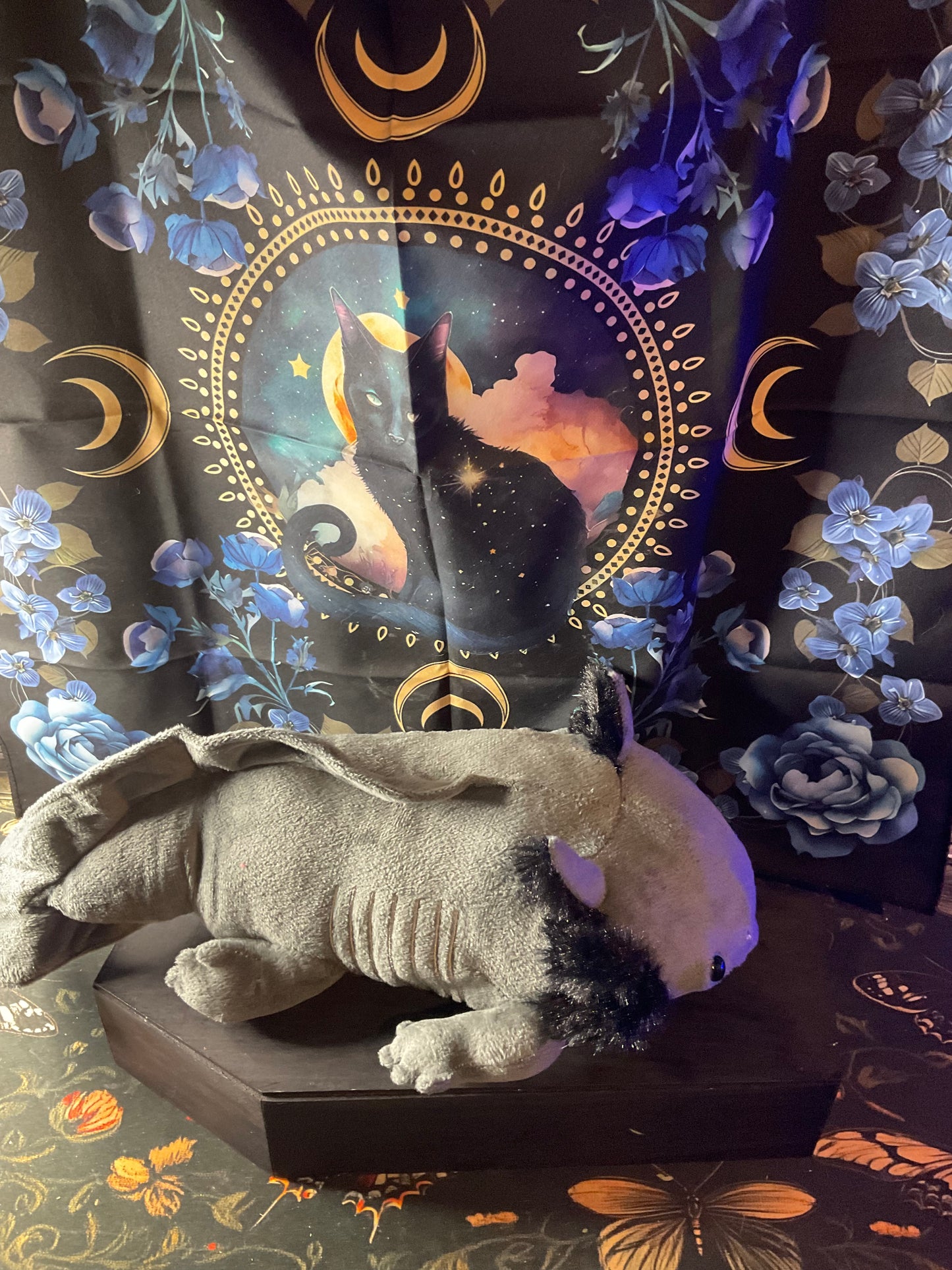 Witchy Familiar Companion