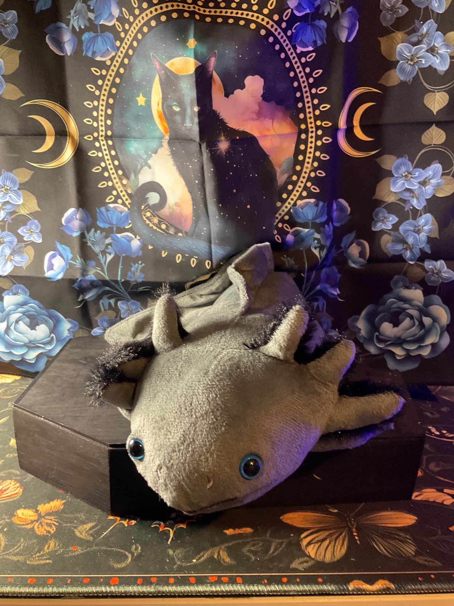 Witchy Familiar Companion