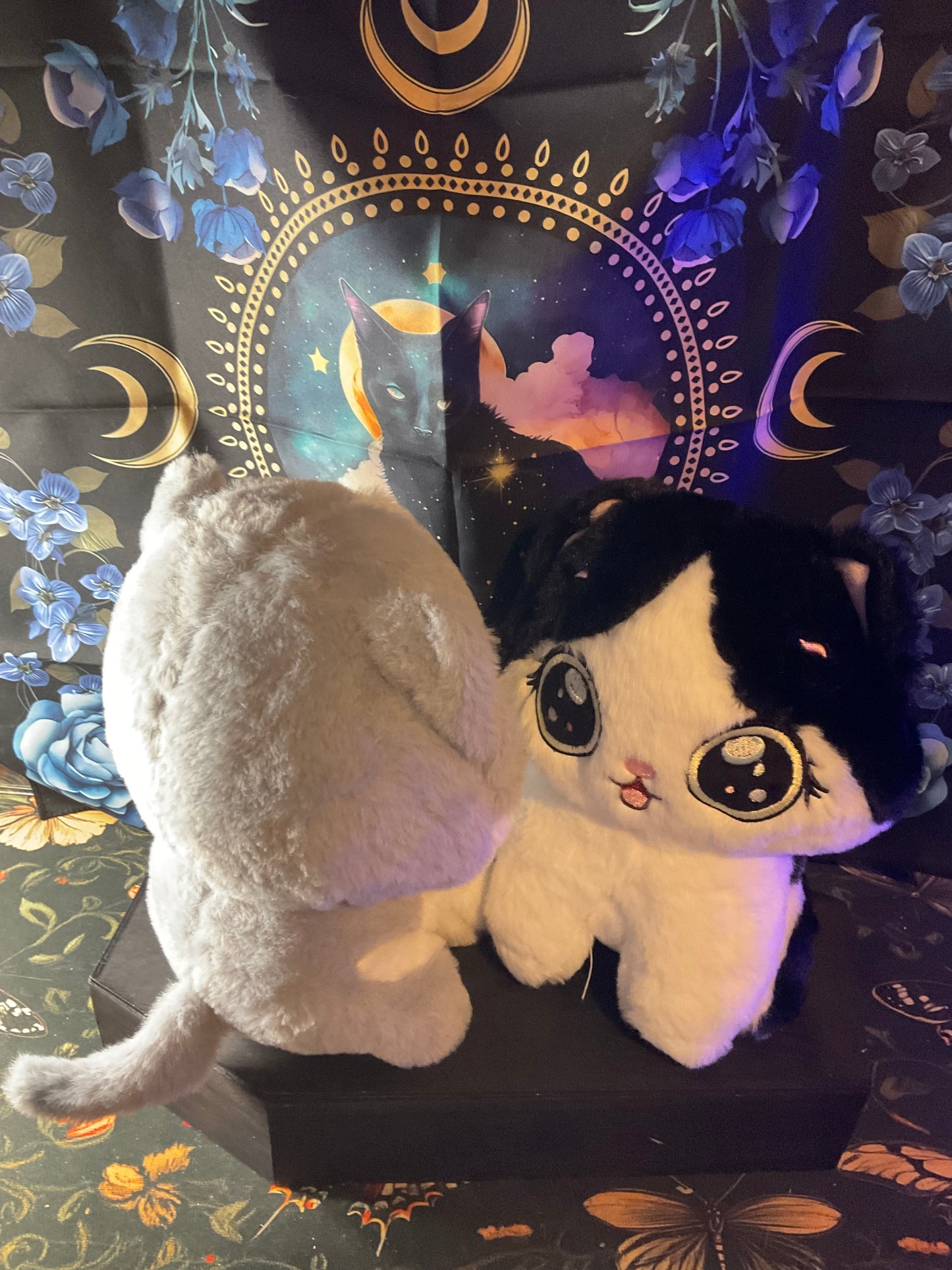 Witchy Familiar Companion